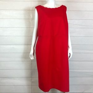 Loft Plus Dress Size 22